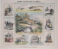 Graphic Illustrations Of Animals. Shewing Their Utility To Man, In Their Services During Life, And Uses After Death.