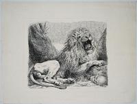 [Lion and skull in a landscape] A Study from Nature.