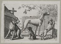 [Dogs and cats in a yard.]