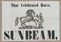 That Celebrated Horse, Sunbeam.