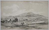 [Hobart Town from the government paddock.]