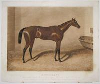Kingcraft, Winner of the Derby Stakes at Epsom, 1870._Value of the Stakes £7,250.