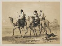 Ababdeh riding Dromedaries.