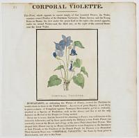 [Napoleon Puzzle Print] Corporal Violette.