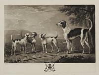 [Portraits of Hounds In the Hunting Hall at Houghton.]