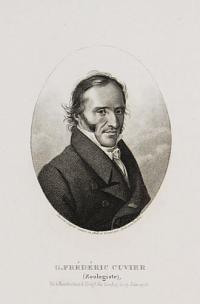 G. Frédéric Cuvier