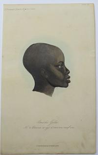 [Africa.] Amóchi Galla. Né à Enarea et agé d'environ neuf ans.