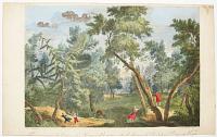 [Woodland landscape with children playing]