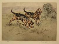 [Bloodhounds.]