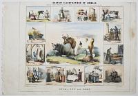 Graphic Illustrations Of Animals, Shewing Their Utility To Man, In Their Services During Life And Uses After Death.