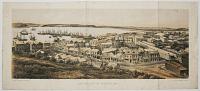 View of Part of Dunedin, 1862.