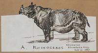 A Rhinoceros Caught at Stamford Hill Nov. 21 1867.