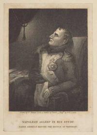 Napoleon Asleep in his Study.