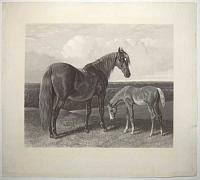 [Fores's Series of the Mothers. Pl. 1. Hack Mare & Foal.