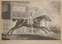 The Terrible Horse Trentham late the property of Charles Ogilvy Esq.r...