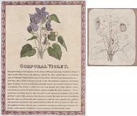 [Napoleon Puzzle Print] Corporal Violet. [&] ['Explanation' for the 'Corporal Violet' Napoleon Puzzle Print]