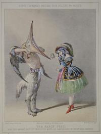 Alfred Crowquill's Sketches From Jullien's Bal Masque.