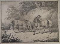 [Two horses.]