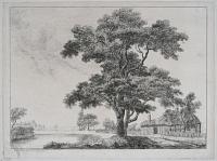 Landscape [tree and cottage].