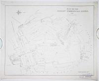Plan of the Surrey Commercial  Docks. 1881.