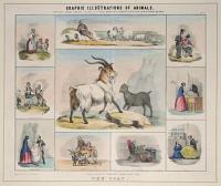 Graphic Illustrations Of Animals. Shewing Their Utility To Man, In Their Services During Life And Uses After Death.