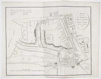 A Correct Plan of the Review of the Volunteers in Hyde Park, on the 4th of June 1799.