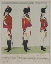 33rd Regiment of Foot; 56th Regiment of Foot; 50th Regiment of Foot.