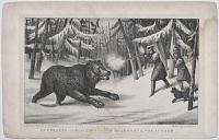 An Enraged and Badly Wounded Bear Shot by The Author.