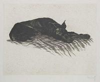[Dobermann]