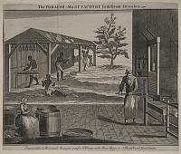 The Tobacco-Manufactory in different Branches.