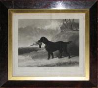 Painter, A Celebrated Retriever the property of E.Chinery Esqr. to whom this Plate is with Permission dedicated By his obedient humble Servant Willm. Giller.