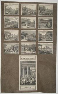 A Series of Engravings, Plat XIII.-Page 60. Illustrative of the Process of Rearing the Tea Plant, from the First Sowing of the Seed to its Final Package for the European Market.