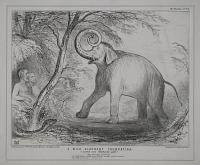 A Wild Elephant Trumpeting, or A Scene from Paradise Lost! ________"the unwieldy elephant "To make them mirth used all his might, and wreathed "His lithe proboscis." Par.e Lost. Bk.4.