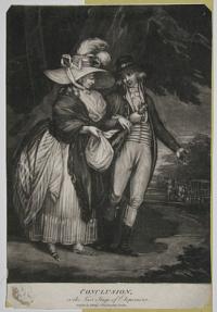 Conclusion, or the Last Stage of Elopement.