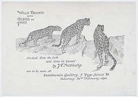Wild Beasts and Birds of Prey.