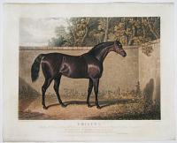 Emilius, Bred by Mr. Udney in 1820, get by Orville, out by Emily by Stamford her dam, by Whiskey, out of Grey Dorimant.