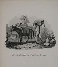 Maniere de charger les Mulets pour le voyage. [Method of laoding mules for travel.]