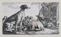 [A hunting pack outside their kennel.]