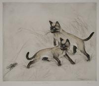 [Two Siamese kittens looking at a cricket.]