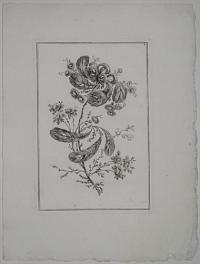 [Flowers. 4.]