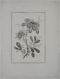 [Flowers. 3.]