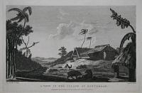 A View in the Island of Rotterdam.