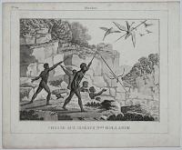 Chasse aux Oiseux N.elle Hollande.