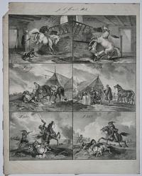 [Six scenes of war horses.]