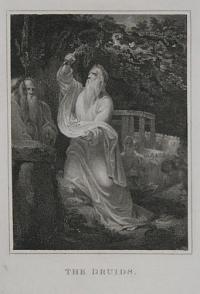The Druids.