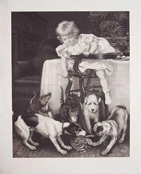 [Infant in highchair at table with dogs and a cat.]