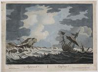 Shipwrack. Naufrage.
