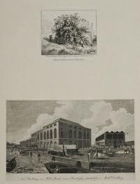 Near Ranelagh, Chelsea. [&] New Buildings on Mill Bank, (near Ranelagh) intended for a Malt Distillery.