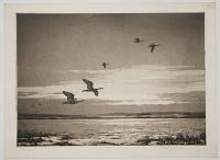 'Estuary Dawn' [pencil].