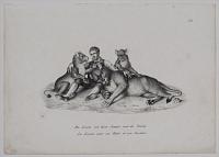 Die L&ouml;win mit ihren Jungen, und ihr W&auml;rter. La Lionne avec ses Petits, et son Gardien.
